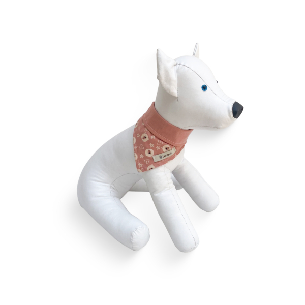 Bandana Teddy Rosê