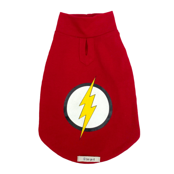 Regata The Flash