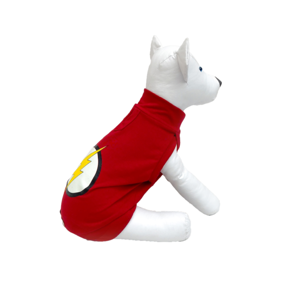 Regata The Flash