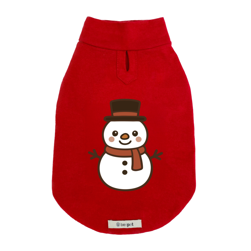 Regata Boneco de Neve