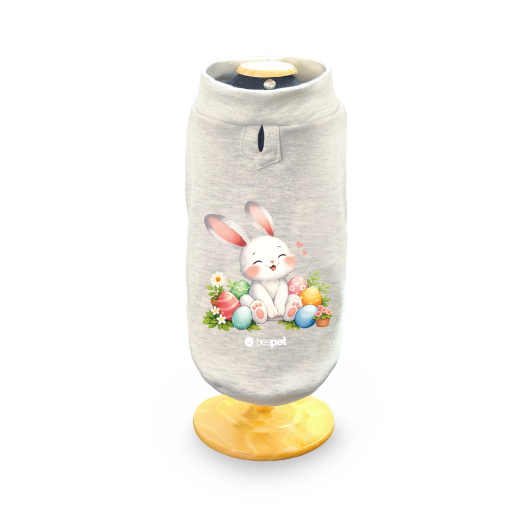 Regata Coelhinho da Páscoa