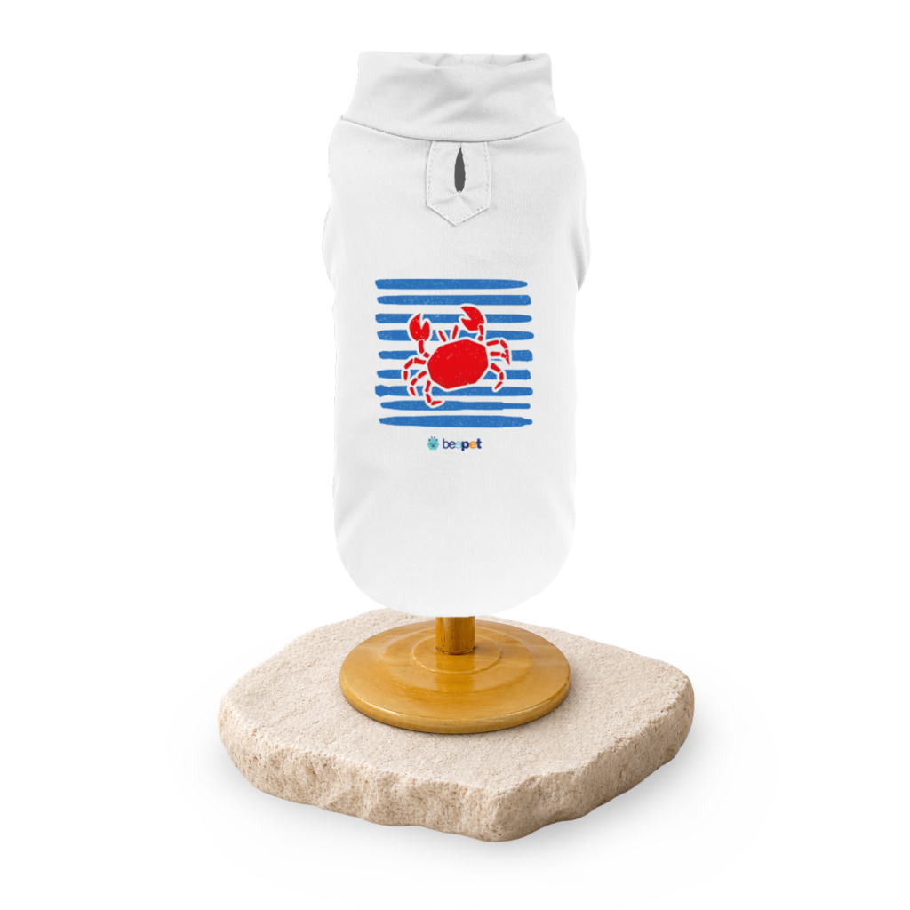 Regata Caranguejo