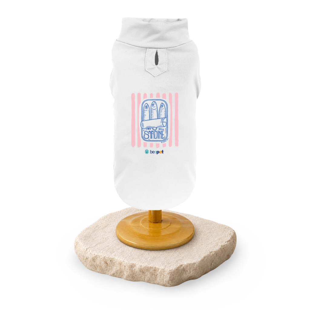 Regata Sardinha